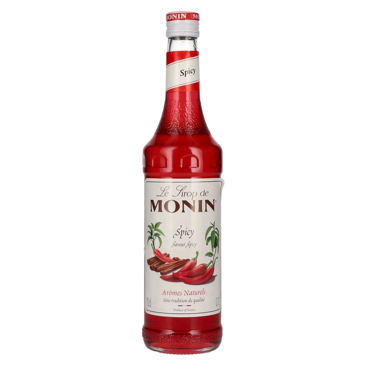 Le Sirop de Monin SPICY 0.7l