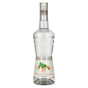 Monin TRIPLE SEC CURAÇAO Liqueur 25% vol. 0.7 l