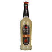 Riemerschmid Bar Syrup Coconut Coconut 0.7l