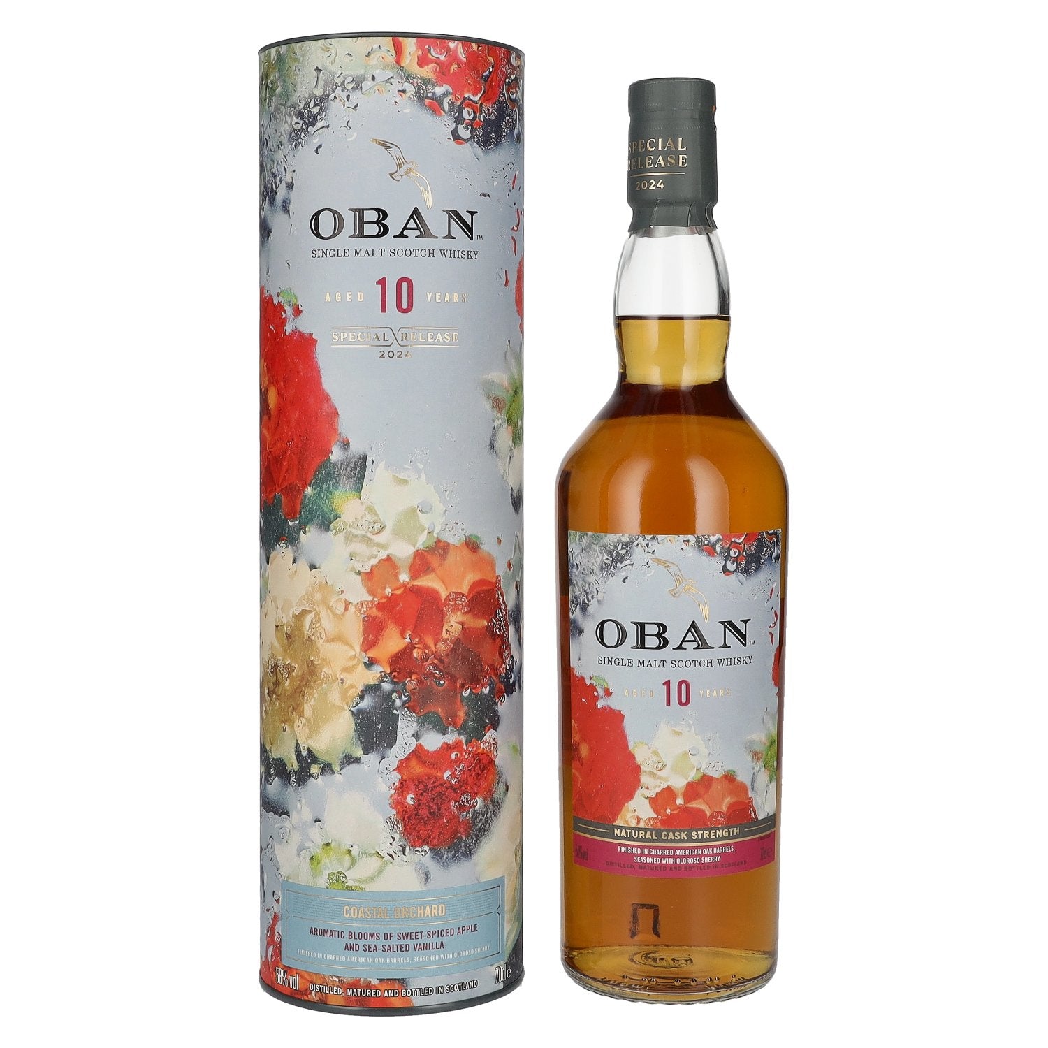 Oban 10 Years Old Coastal Orchard Single Malt Special Release 2024 58% Vol. 0,7l in Geschenkbox